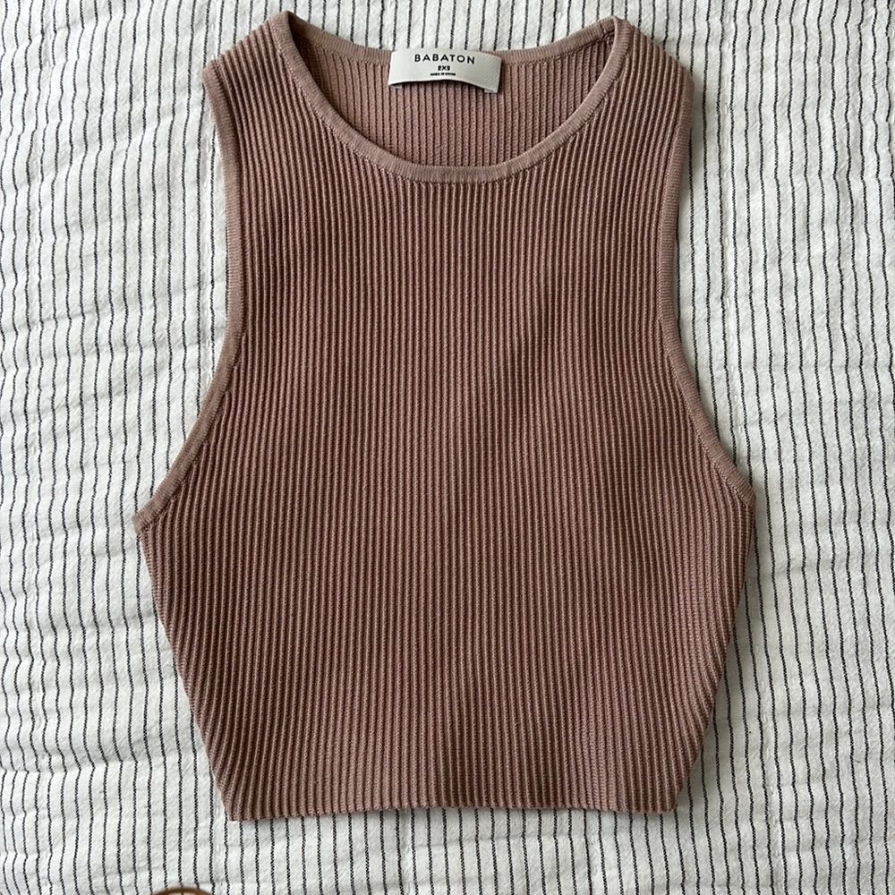 Aritizia Babaton top